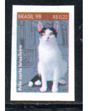 R764 Gato Pelo Curto Brasileiro 25.486