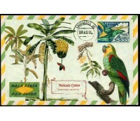 Máximo Postal (REPRODUÇÃO) 25.555 Papagaio