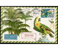 Máximo Postal (REPRODUÇÃO) 25.556 Papagaio