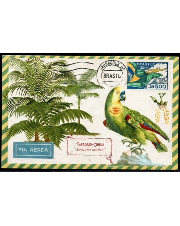 Máximo Postal (REPRODUÇÃO) 25.556 Papagaio