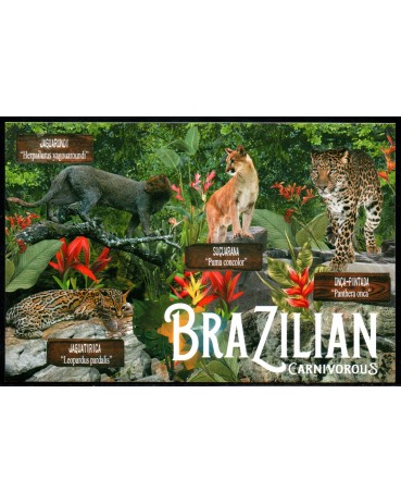 Postal Felinos 25.558 Fauna