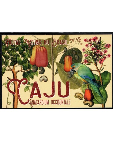Postal Caju/Jandaia 25.560 Fauna e Flora