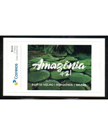 PBP020 Amazônia + 21 Porto Velho - Rondônia 2017 - 26.070