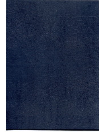 Classificador Importado PCCB C/Capa Protetora P/selos Cor azul com 10 fls /20 páginas 5 fls com 5 tiras e 5 com 3 tiras 26.403  (LP)