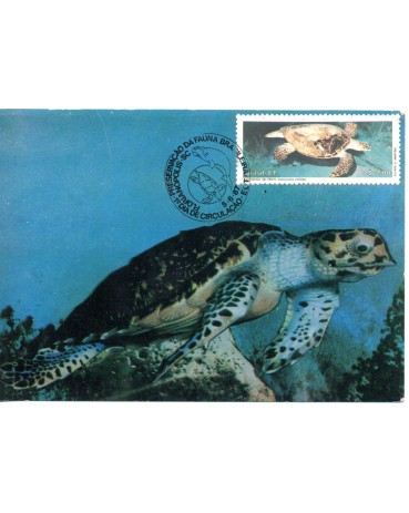 1999 Máx. Postal Tartaruga de Pente 26.947