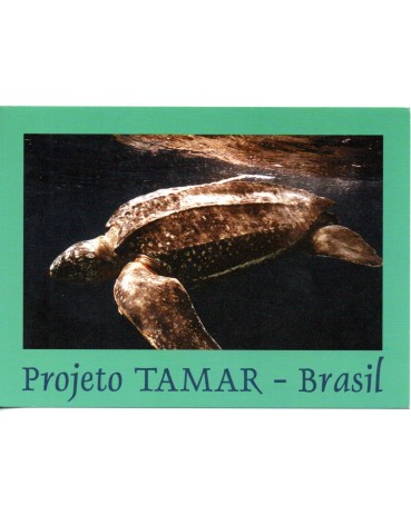 Projeto Tamar - Brasil Tartaruga de Couro  26.948