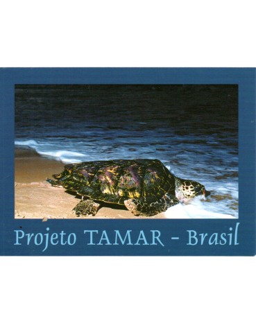 Projeto Tamar - Brasil Tartaruga de Pente 26.949