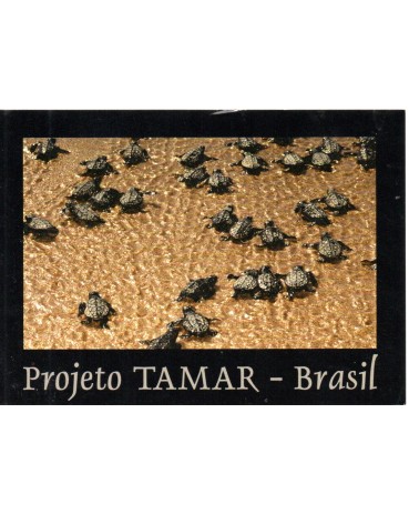 Projeto Tamar - Brasil - Filhotes 26.951