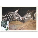Portugal - Zebras26.960