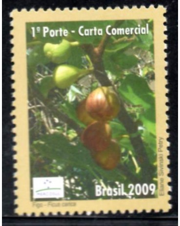 C2833/2009  Figo 30.038 Mint