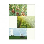 BRASIL - AGRICULTURA ORGÂNICA (03)  - FC00223