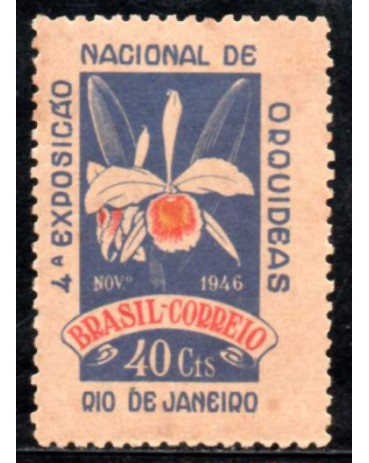 C224 4ª Exposição Nacional de Orquídeas - RJ 31.108