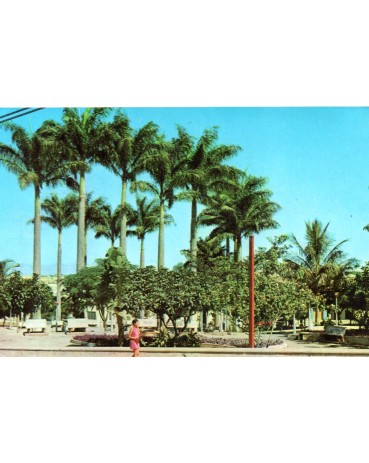 Vitória da Conqusita - BA, usado 31.326