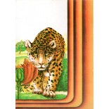 1973 Max. Postal 11 Onça e Tulipeiro 31.346