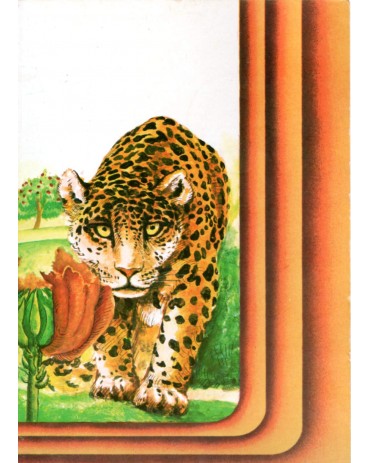 1973 Max. Postal 11 Onça e Tulipeiro 31.346
