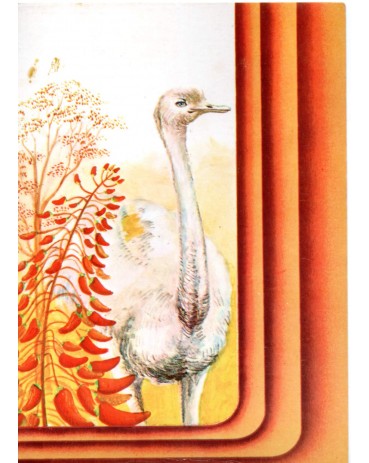 1973 Máx. Postal 13 Ema e Mulungu 31.347