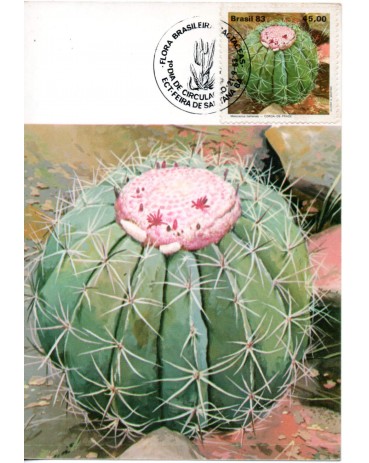 1983 Max. Postal 83 - Coroa de Frade 31.349 CBC Feira de Santana