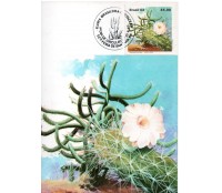 1983 Máx. Postal  82 Xique-Xique 31.350 CBC Feira de Santana ou Fortaleza 31.350
