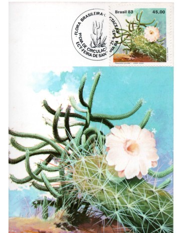 1983 Máx. Postal  82 Xique-Xique 31.350 CBC Feira de Santana ou Fortaleza 31.350