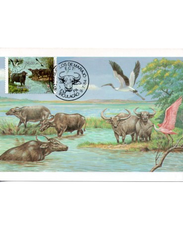 1984 Max.Postal  104 B´pufalo de Marajó - Carabao 31.351 CBC PA