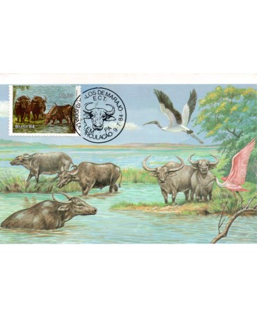 1984 Máx.Postal 103B Búfalo de Marajó - Mediterraneo 31.352 CBC - PA