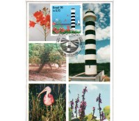 1995 Máx.Postal 200 Cururupu 31.357