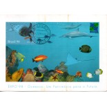 1998 Max Postal  Ano dos Oceanos  - Tartaruga 31.397 Carimbo Brasilia