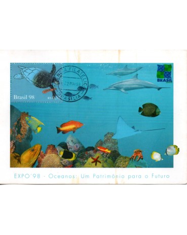1998 Max Postal  Ano dos Oceanos  - Tartaruga 31.397 Carimbo Brasilia