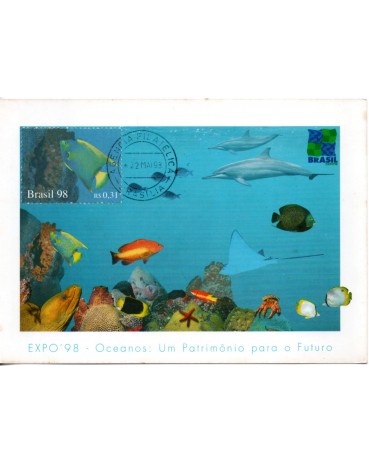 1998 Max Postais Ano dos Oceanos - Peixe 31.402 Carimbo de Brasilia
