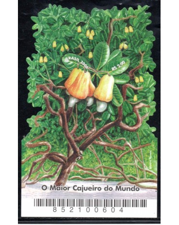 B141 O Maior Cajueiro do Mundo 31.773 Mint