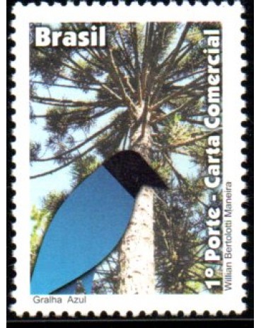 C3155 - 2011 Gralha Azul 32.072