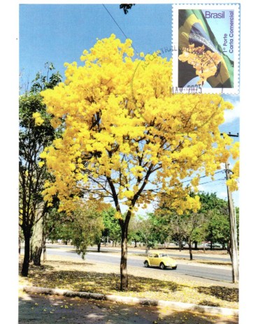 2025 Máximo Postal Ipê/Bandeira/Fusca 32.185 - Peça bem diferenciada