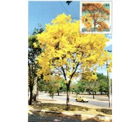 2025 Máximo Postal Ipê/Fusca 32.186 Peça diferenciada