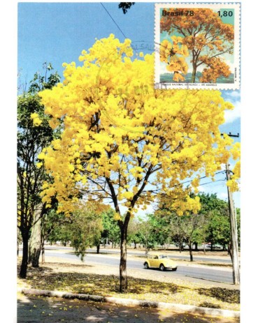 2025 Máximo Postal Ipê/Fusca 32.186 Peça diferenciada