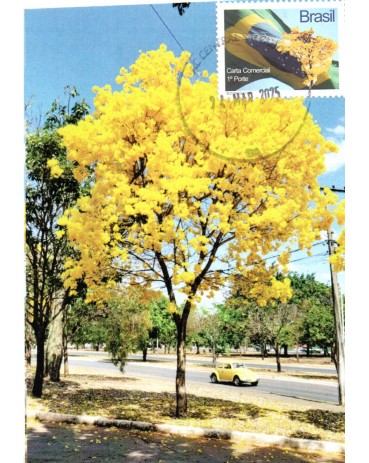 2025 Máximo Postal Ipê/Bandeira/Fusca 32.187 Peça Diferenciada