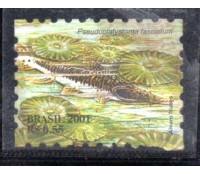 C2424 Surubim 36.008 Novo