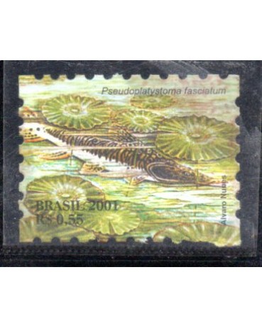 C2424 Surubim 36.008 Novo