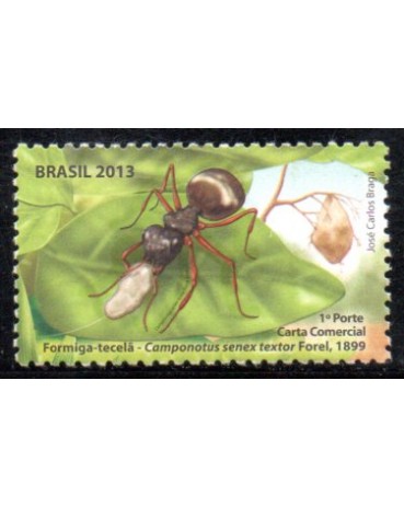 C3280 Formigas do Brasil - Formiga Tecelã 36.095