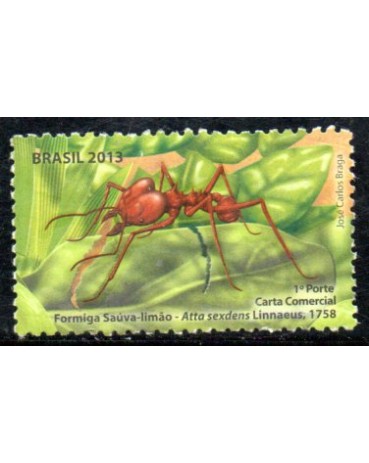C3282 Formigas do Brasil - Saúva-Limão 36.096 Novo