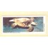 BRASIL 1987 - C1549 MINT 2891