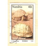 NAMIBIA 1995 CARIMBADO 40C  2911