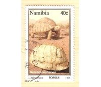 NAMIBIA 1995 CARIMBADO 40C  2911