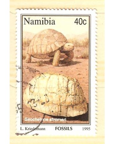 NAMIBIA 1995 CARIMBADO 40C  2911