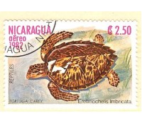NICARÁGUA 1982 - CARIMBADO - 2,50  - 2913