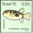 C888 N - MAMAIACU 1975