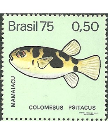 C888 N - MAMAIACU 1975
