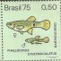 C889 N - BARRIGUDINHO 1975 -2938