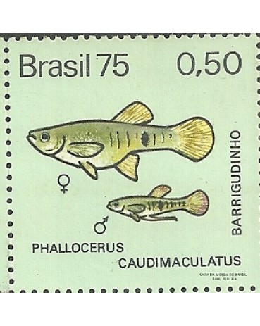 C889 N - BARRIGUDINHO 1975 -2938