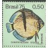 C890 N - MORERÊ 1975