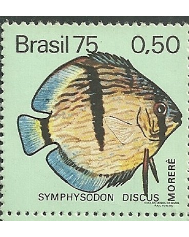 C890 N - MORERÊ 1975